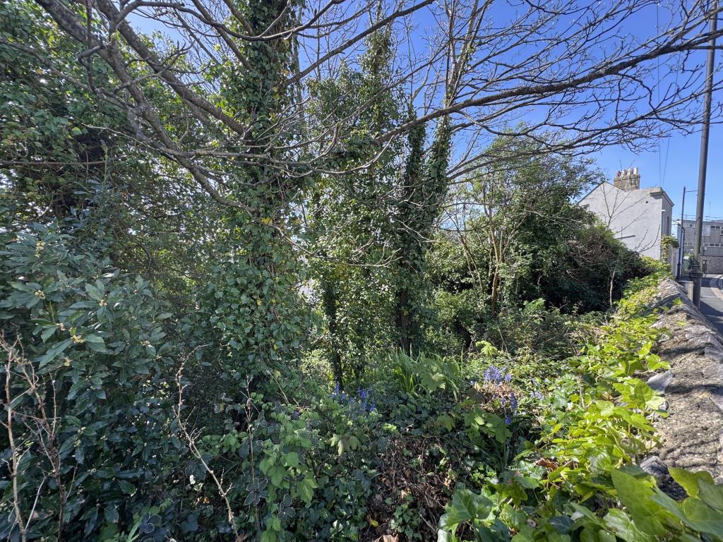 Lot: 50 - FREEHOLD PARCELS OF LAND - View of the land